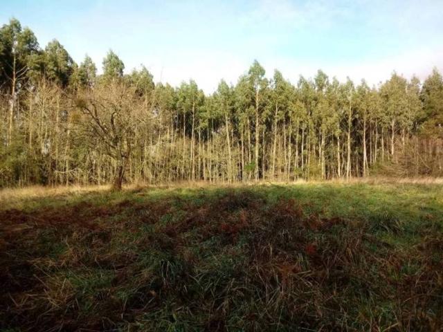 Terreno en venta en Iurreta, Guipúzcoa