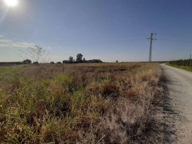 Terreno en venta en Pla d'Urgell, Catalunya