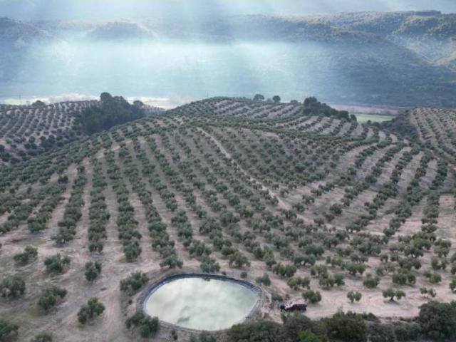 Terreno en venta en Comarca de Los Montes, Andalucía