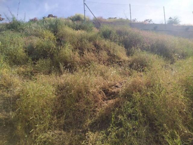 Terreno en venta en La Axarquía, Andalucía