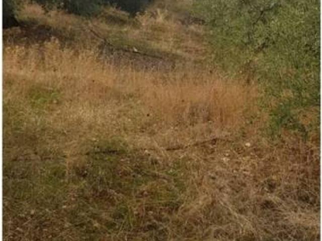 Terreno en venta en Villacarrillo, Andalucía