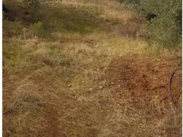 Terreno en venta en Villacarrillo, Andalucía