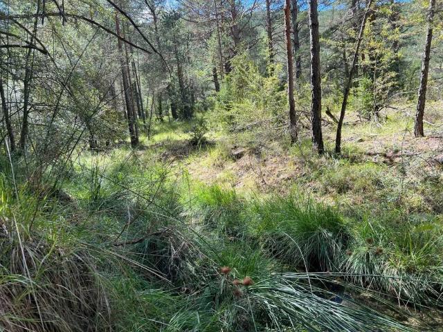 Terreno en venta en Villanovilla, La Jacetania
