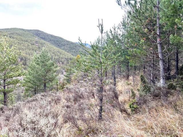 Terreno en venta en Villanovilla, La Jacetania