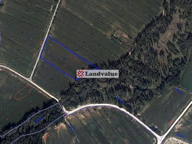 Terreno en venta en Jadraque, Castilla-La Mancha