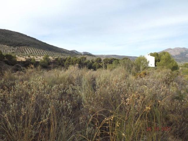 Terreno en venta en Jaén