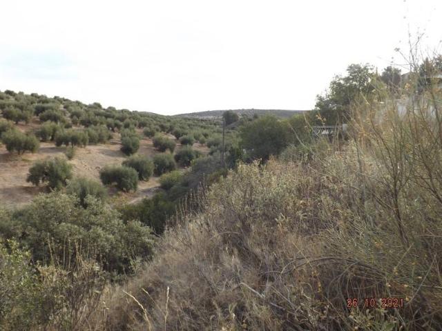 Terreno en venta en Jaén, Andalucía