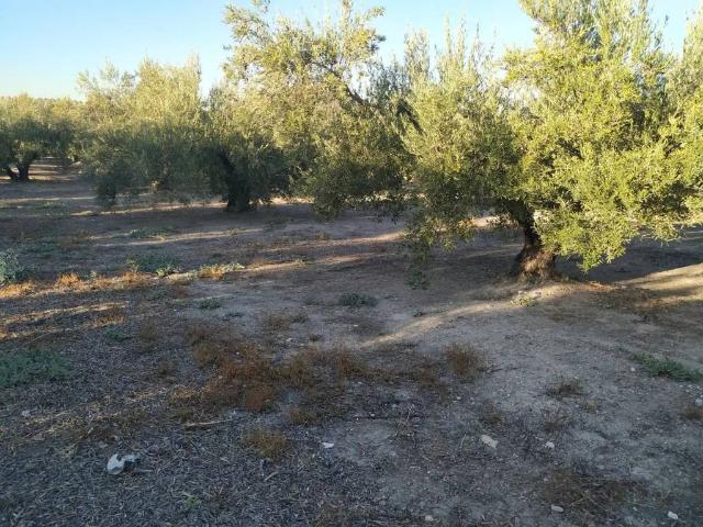 Terreno en venta en Jaén, Andalucía