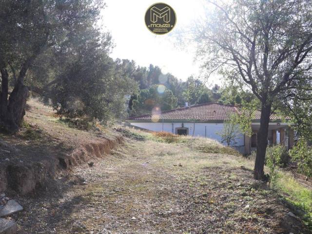 Terreno en venta en Jaén, Andalucía