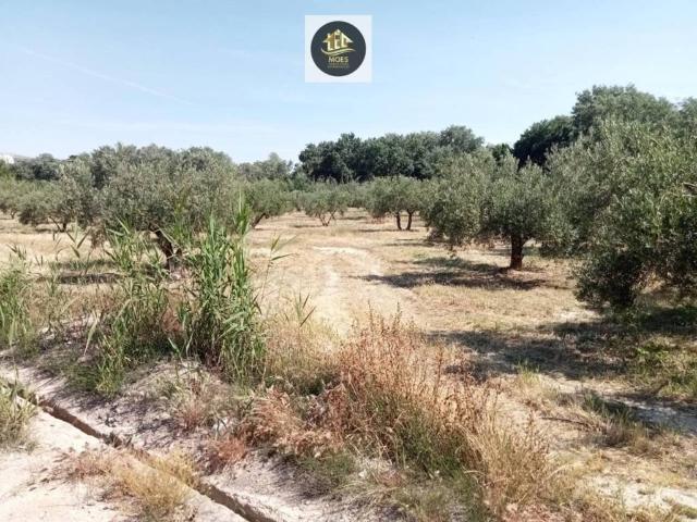 Terreno en venta en Jaén, Andalucía