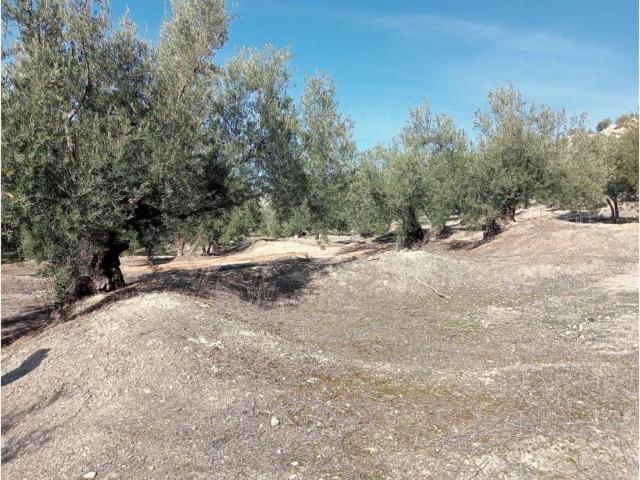 Terreno en venta en Jaén, Andalucía