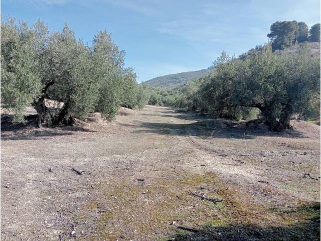 Terreno en venta en Jaén, Andalucía