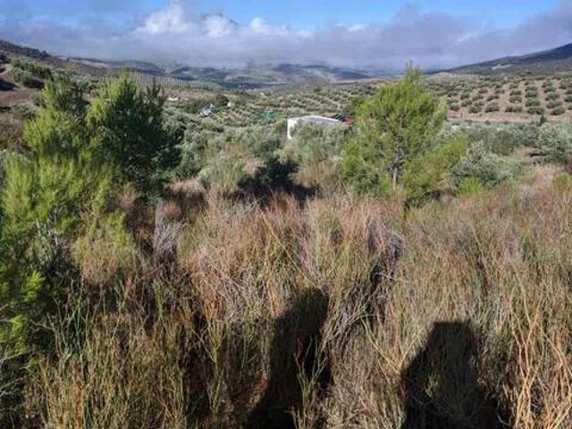 Terreno en venta en Jaén, Andalucía