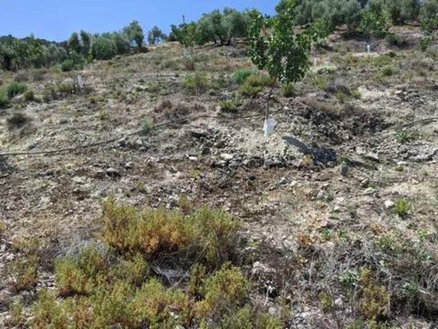 Terreno en venta en Puerto Alto, Jaén