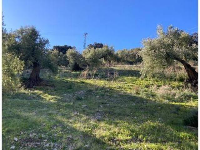 Terreno en venta en Jaén, Andalucía