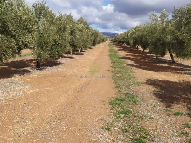 Terreno en venta en Jaén, Andalucía