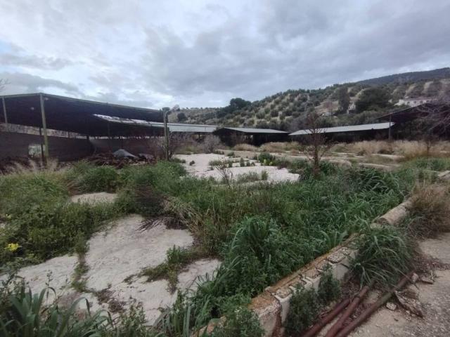Terreno en venta en Jaén, Andalucía