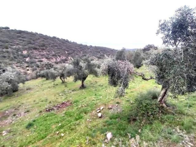Terreno en venta en Jaén, Andalucía