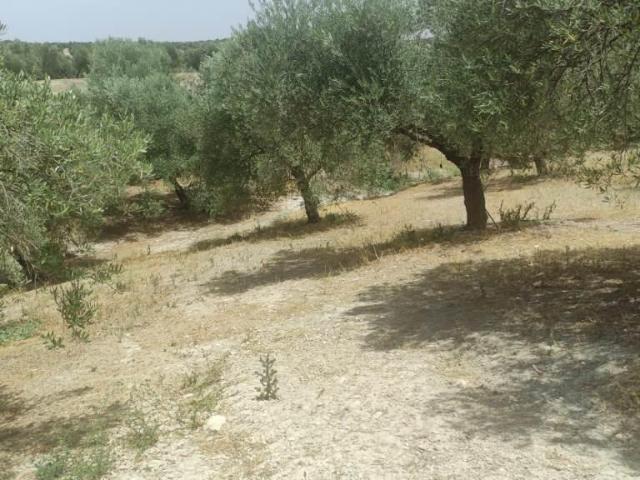 Terreno en venta en La Alcantarilla, Jaén