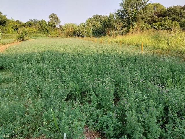 Terreno en venta en Baix Empordà, Catalunya