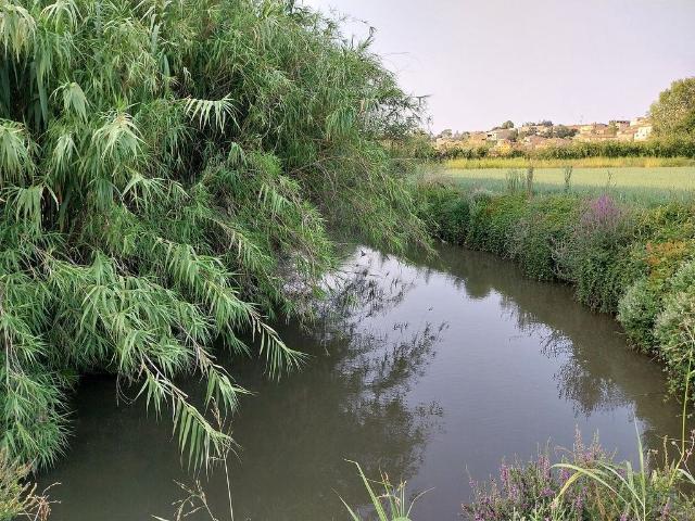 Terreno en venta en Baix Empordà, Catalunya