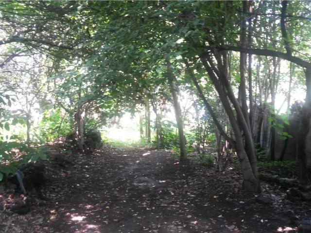 Terreno en venta en Colonia Jaime Torres Bodet, Ciudad de México