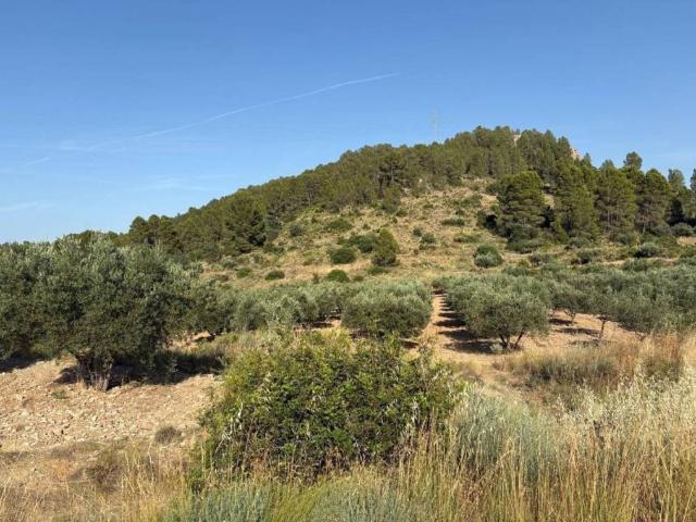 Terreno en venta en El Valle de Cofrentes-Ayora, Valencia