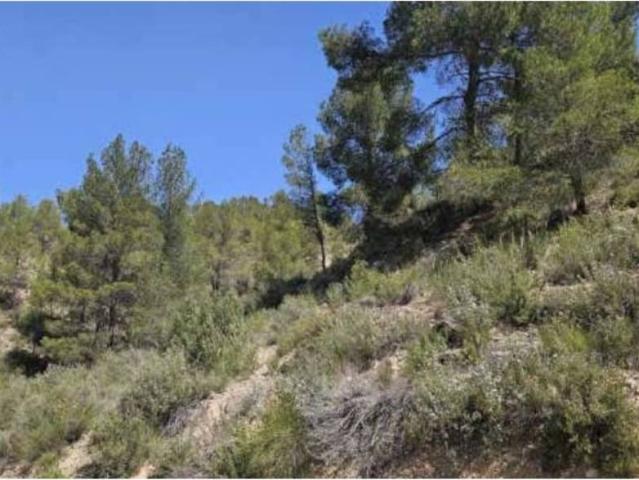 Terreno en venta en El Valle de Cofrentes-Ayora, Valencia