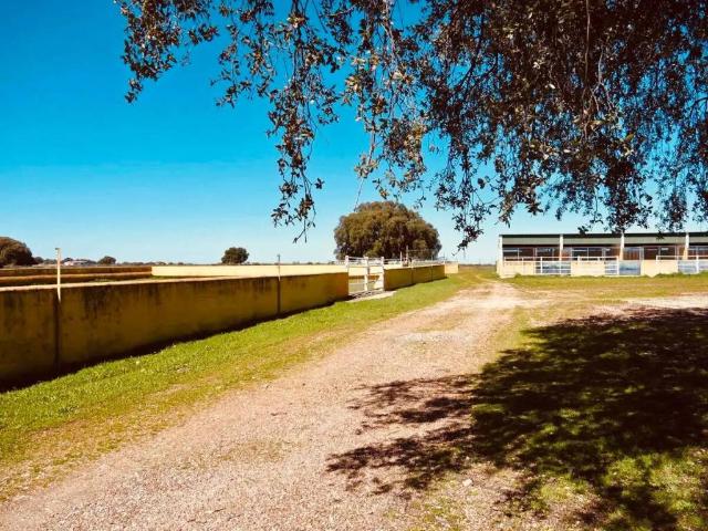Terreno en venta en Jaraicejo, Extremadura