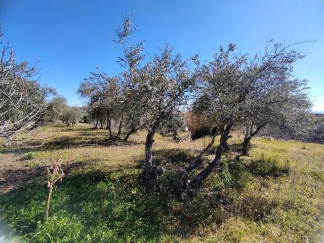 Terreno en venta en Jaraíz De La Vera, Extremadura