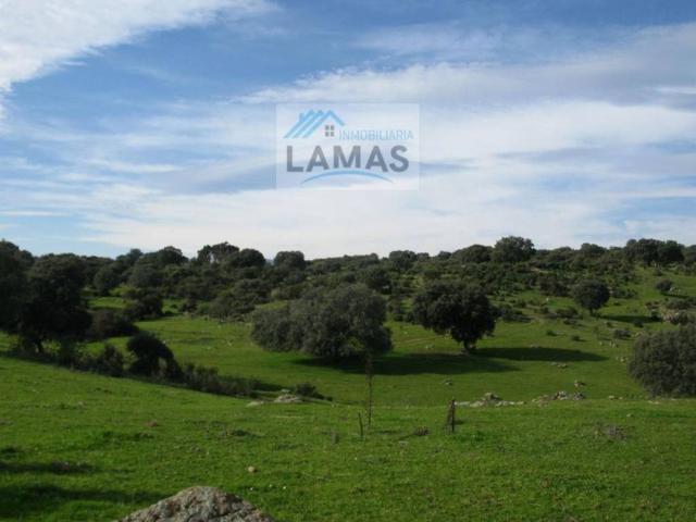 Terreno en venta en Jaraíz De La Vera, Extremadura