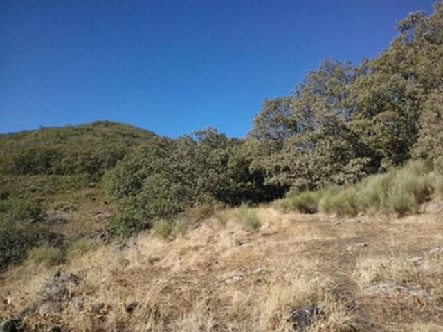 Terreno en venta en Jaraíz De La Vera, Extremadura