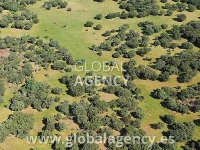 Terreno en venta en Jarandilla De La Vera, Extremadura