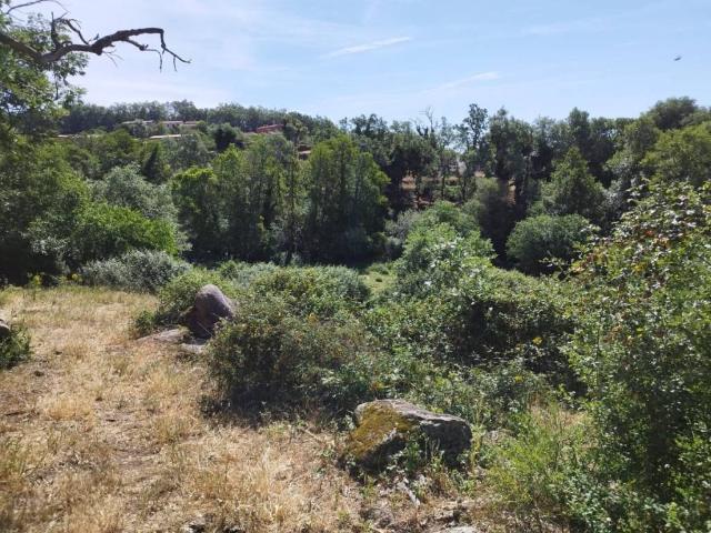 Terreno en venta en Jarandilla De La Vera, Extremadura