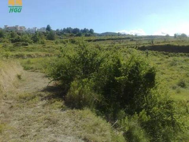Terreno en venta en la Marina Alta, Valencia