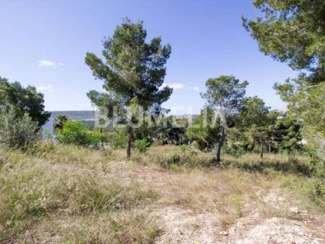 Terreno en venta en la Marina Alta, Valencia