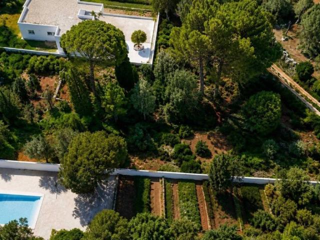 Terreno en venta en la Marina Alta, Valencia