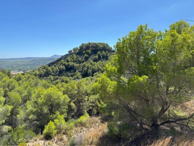 Terreno en venta en la Marina Alta, Valencia