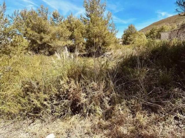 Terreno en venta en la Marina Alta, Valencia