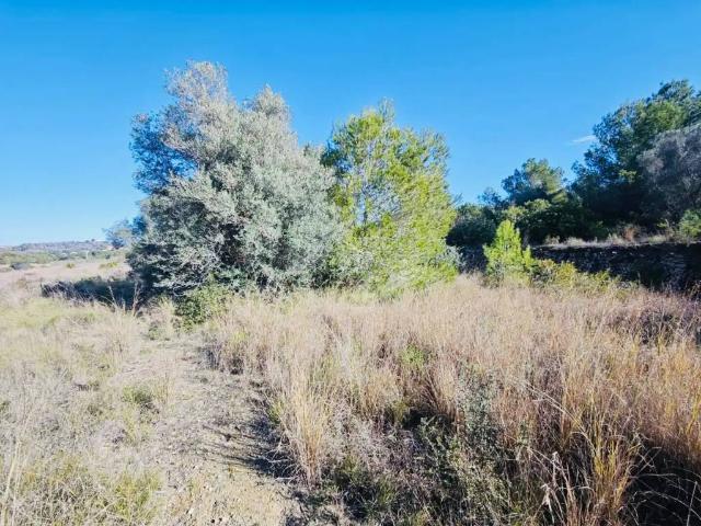 Terreno en venta en la Marina Alta, Valencia