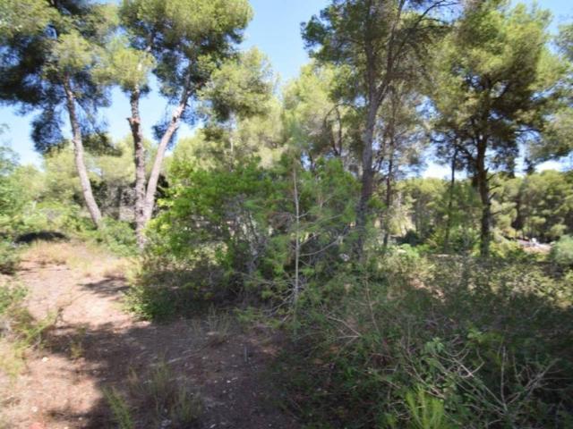Terreno en venta en la Marina Alta, Valencia