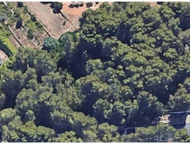 Terreno en venta en la Marina Alta, Valencia