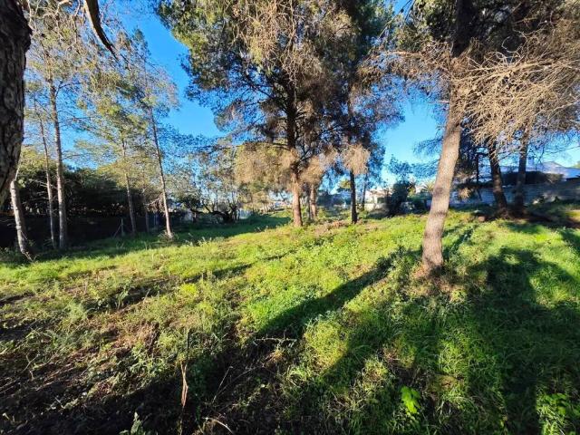 Terreno en venta en Entrepinos, la Marina Alta