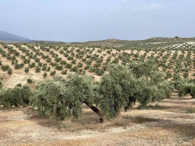 Terreno en venta en Comarca de Alhama, Andalucía