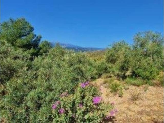 Terreno en venta en Comarca de Alhama, Andalucía