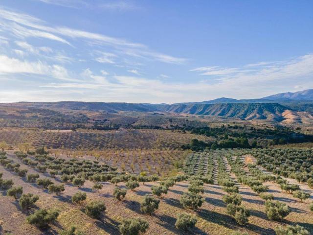 Terreno en venta en Comarca de Alhama, Andalucía
