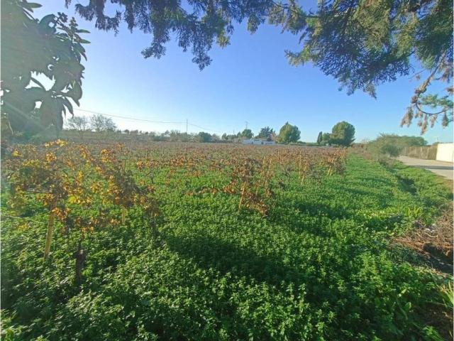 Terreno en venta en Campiña de Jerez, Andalucía