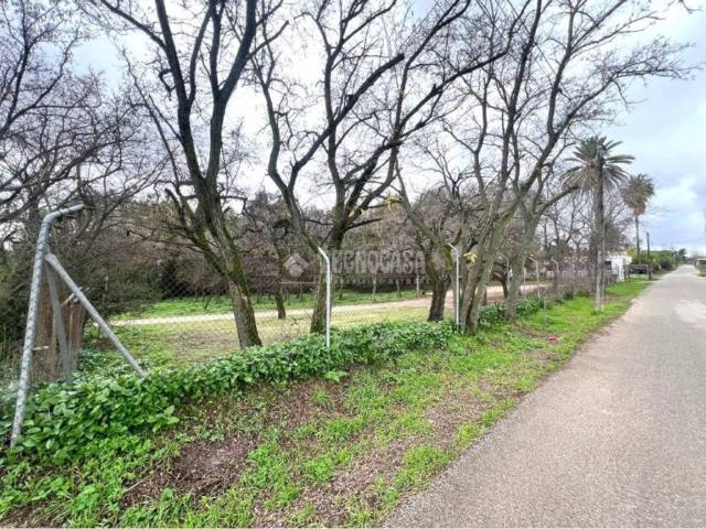 Terreno en venta en Campiña de Jerez, Andalucía