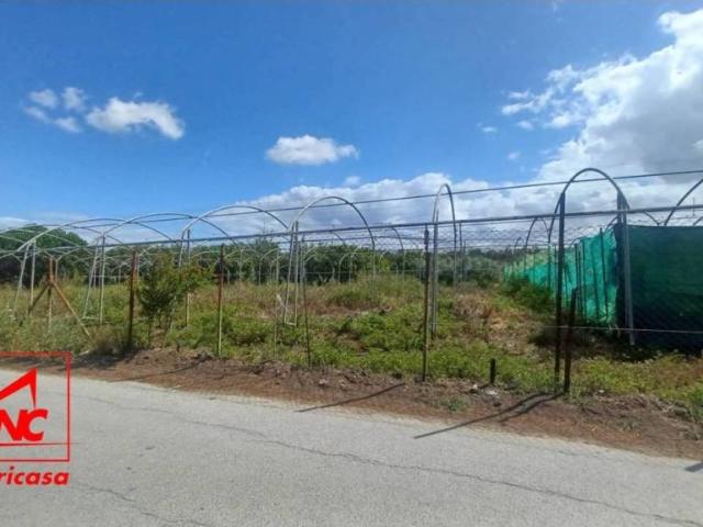 Terreno en venta en Campiña de Jerez, Andalucía