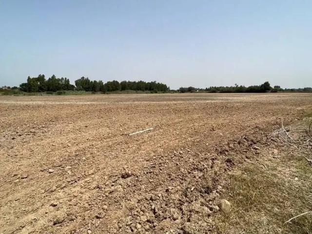 Terreno en venta en La Barca de la Florida, Jerez de la Frontera